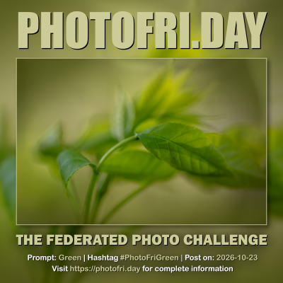 PhotoFri.Day prompt card for Green, featuring a soft-focus photograph of vivid green leaves.